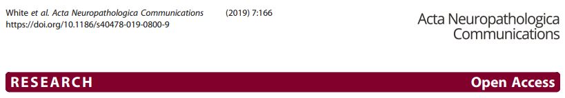 Journal image for Acta Neuropathologica Communications paper